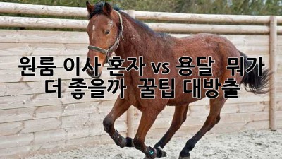 원룸 이사, 혼자 vs 용달 🚚 뭐가 더 좋을까? 🤔 꿀팁 대방출!
