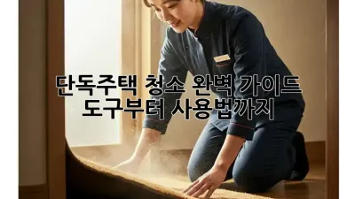 단독주택 청소 완벽 가이드: 도구부터 사용법까지!
